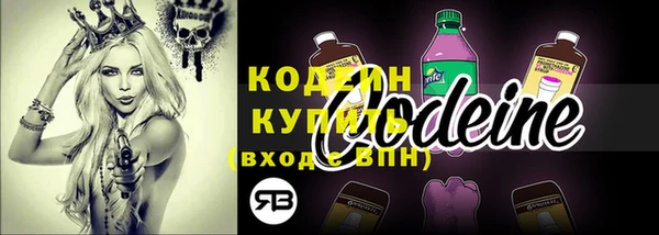 ECSTASY Иннополис