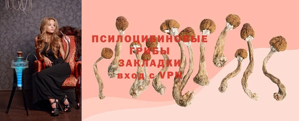 ECSTASY Иннополис
