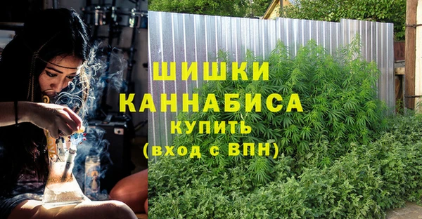 прущая мука Инта