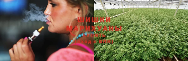 прущая мука Инта