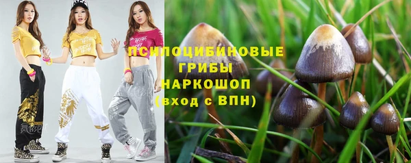 прущая мука Инта