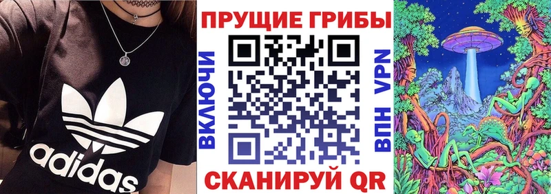 Галлюциногенные грибы MAGIC MUSHROOMS  Купить  Далматово 