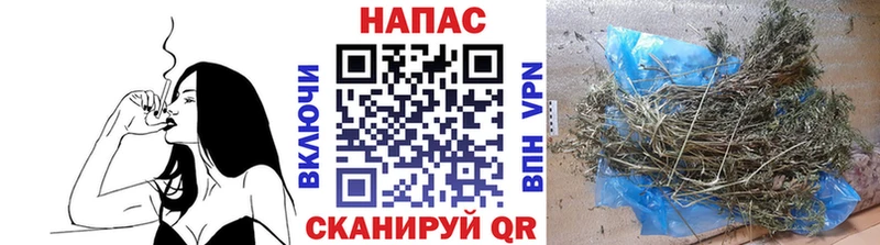 Купить где  Далматово  Каннабис SATIVA & INDICA 